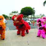Shopping Center Activities